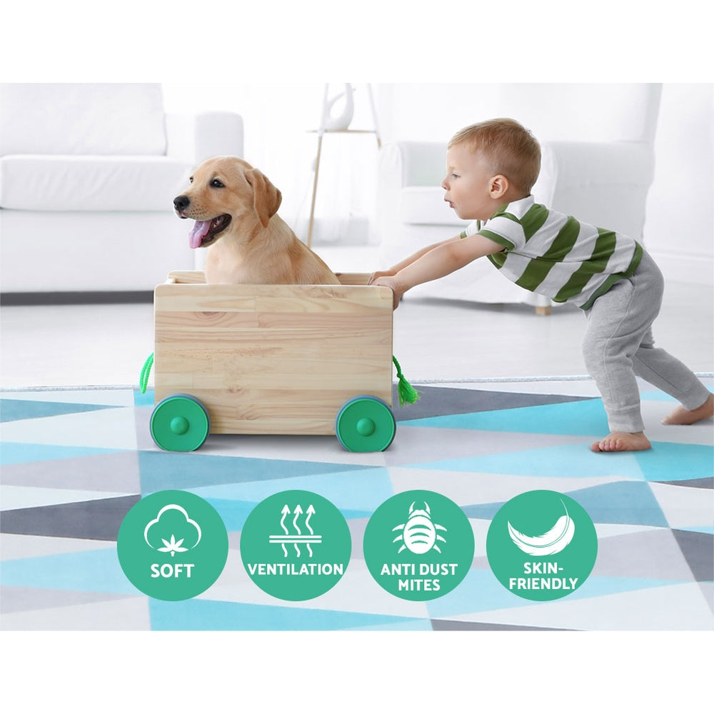 Astra Modern Rug – Beige – 200 × 290 cm