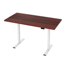 Motorised Standing Desk – Dual Motor, Walnut Finish 140cm