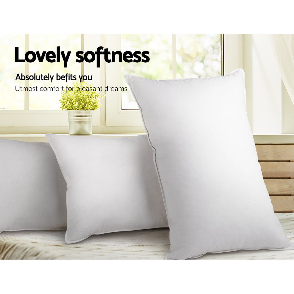 Avalon Goose Feather Pillows – White – Set of 2