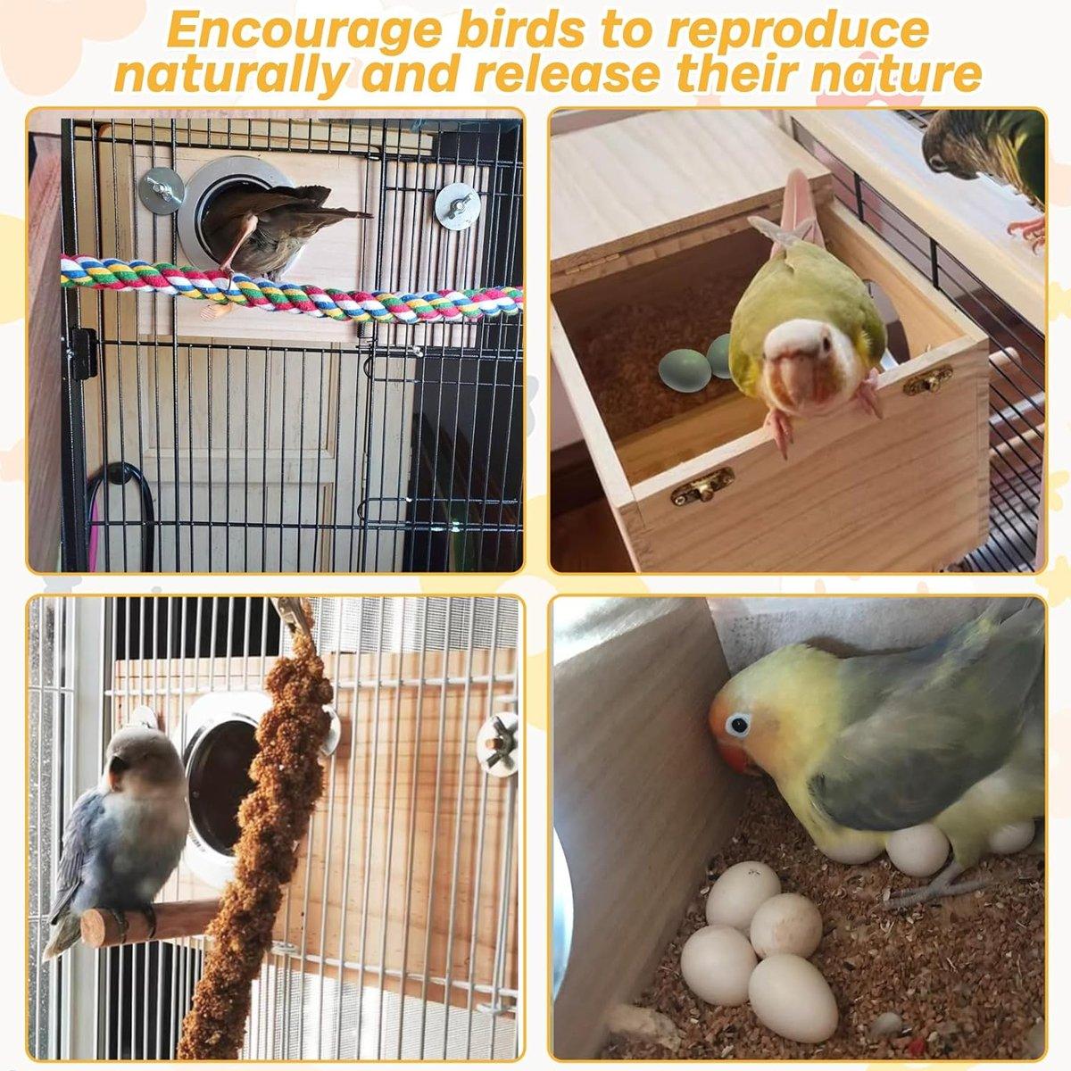 Fiora Wooden Bird Breeding Box – Brown – Standard