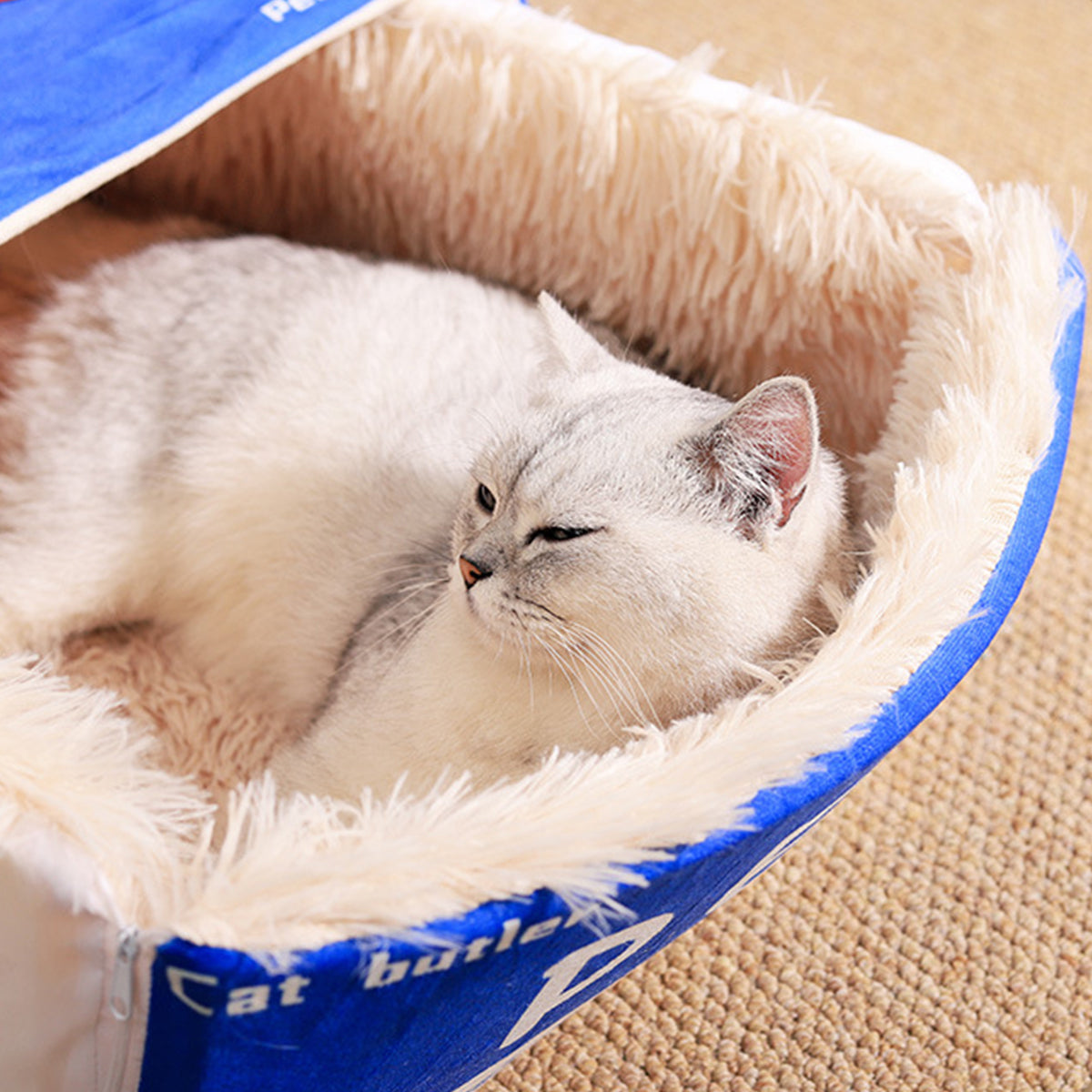 Biscuit Cookie Box Pet Bed – Blue – Medium