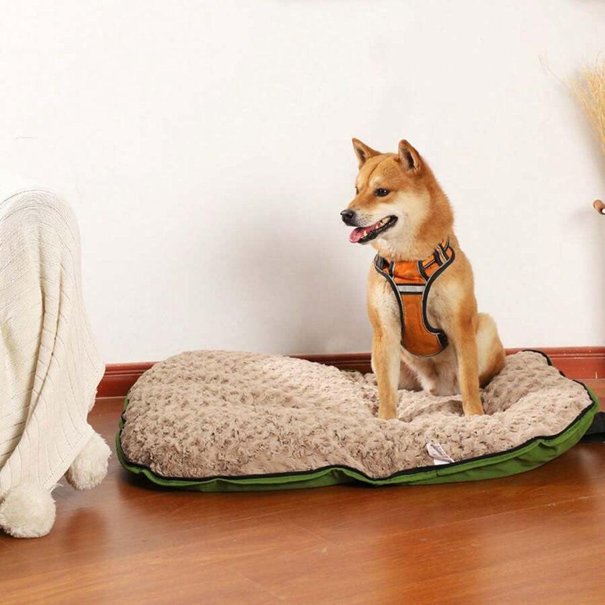 Rovato Portable Dog Travel Mat – Blue & Orange – Small