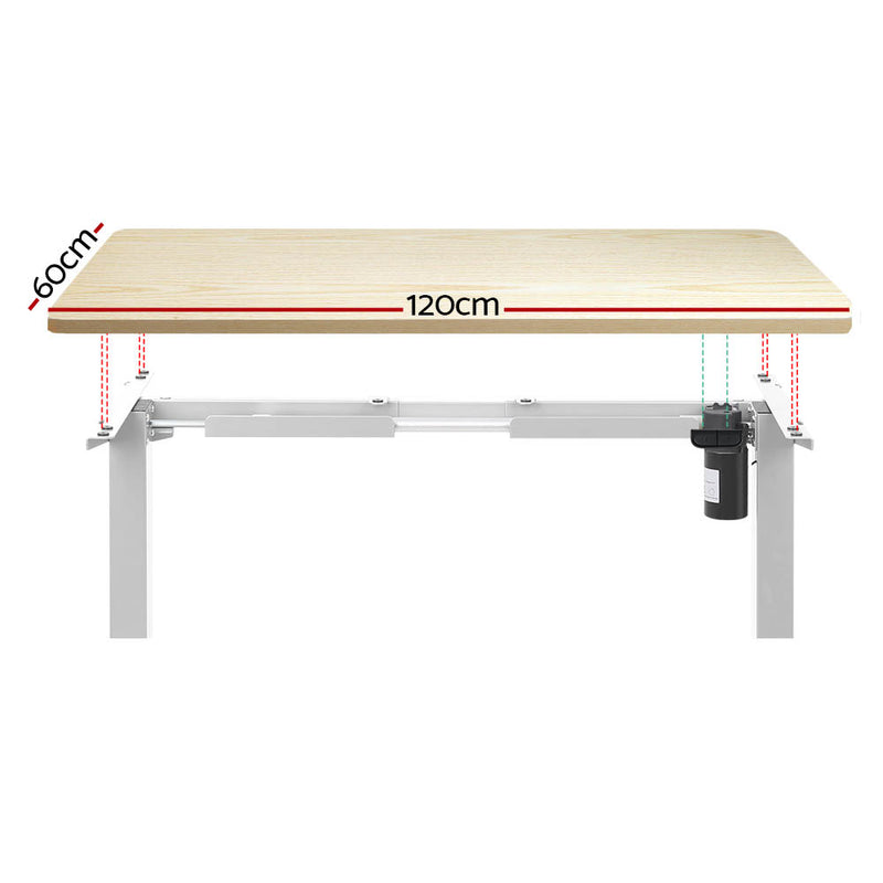 Motorised Standing Desk – Sit-Stand, White Oak 120cm