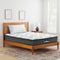 SINGLE Size - Pillow Top Mattress - 24cm