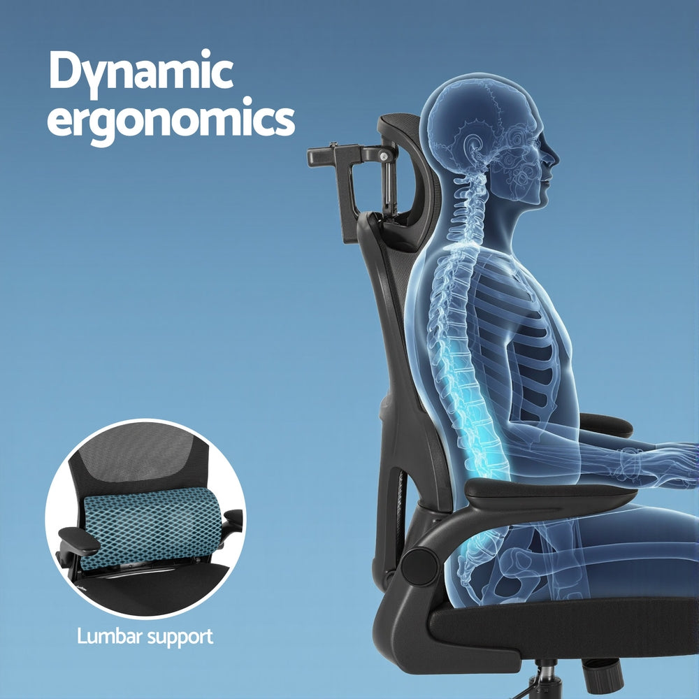 Hexton Adjustable Ergonomic Mesh Office Chair – Black