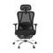Mesh Office Chair – Ergonomic Back Support, Black