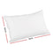 Luxury Twin Pack-  Duck Feather Pillow