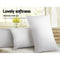 Goose Feather Pillow - Twin Pack