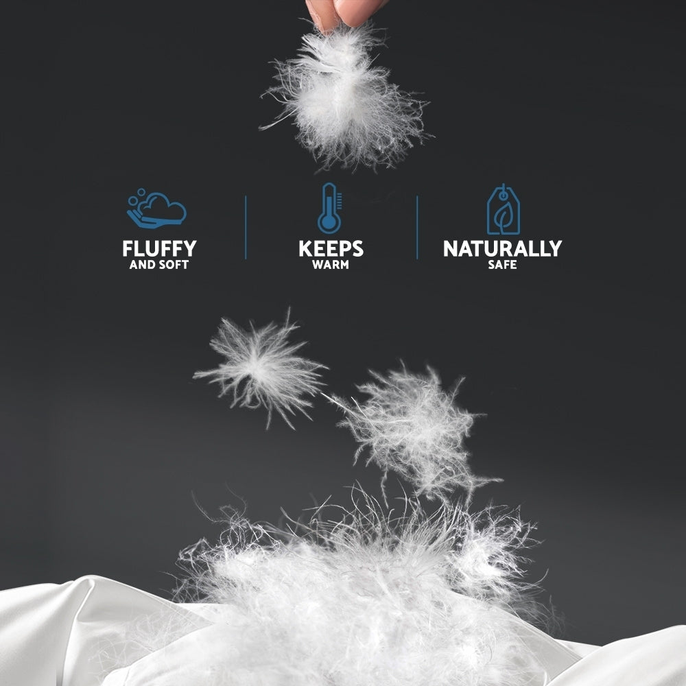 Valore Duck Feather Down Quilt – White – Queen