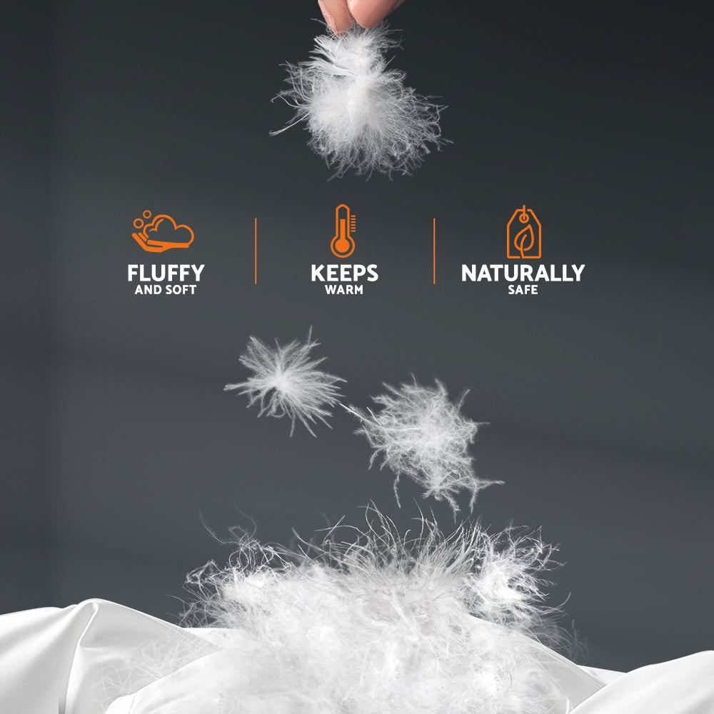 Atlas Goose Down Feather Quilt – White – King – 800GSM