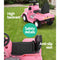 Electric Ride On Truck - Pink