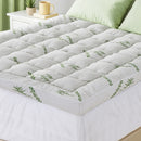 Restoria Mattress (Plush)