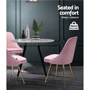 Set of 2 Velvet Dining Chairs - Pink