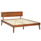 QUEEN Size - Wooden Base Bed Frame - Walnut